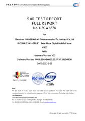W100-CE SAR report.pdf