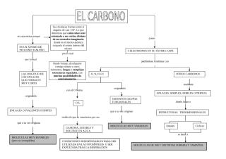 Carbono.doc