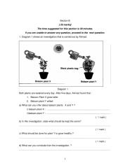 Y4 Living Things - basic needs section B.pdf