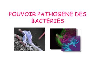 bacterio3an19-pouvoir_pathogene.pdf