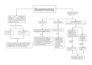 bioelementos 1.doc