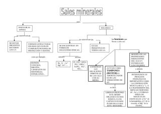 sales minerales.doc